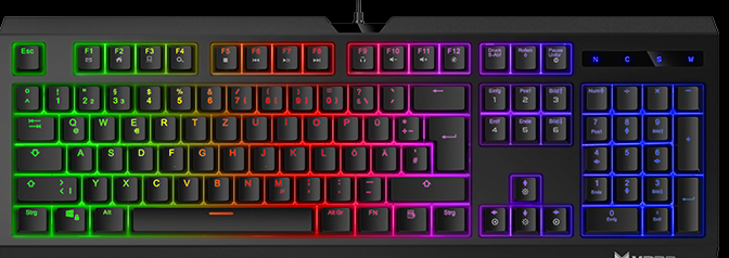 ② Clavier gamer - VPRO V500S - RAPOO - filaire (USB) - TKL — Claviers —  2ememain